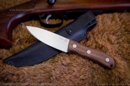 Kizlyar_manul_1