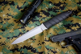 Kizlyar_vitaz_poly_1