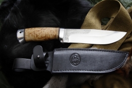 Puma breza