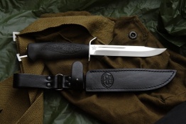 Razvedbat elastron