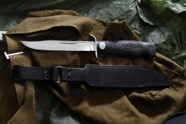 Razvedbat elastron