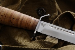 Razvedbat kôra