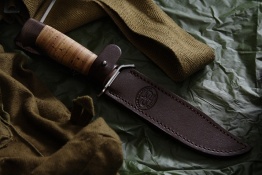 Razvedbat kôra