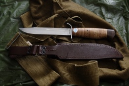 Razvedbat kôra