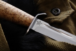 Razvedbat breza