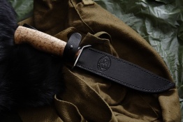 Razvedbat breza