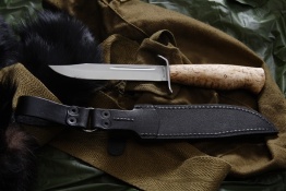 Razvedbat breza