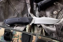 Grizzly
