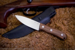 Kizlyar_manul_1