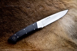 Kizlyar_Puma_mik_2