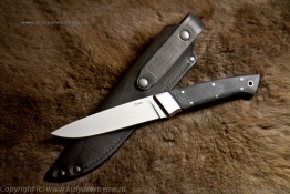 Kizlyar_Puma_mik_4