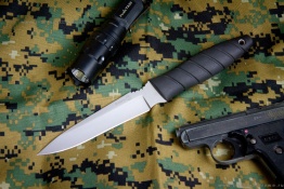 Kizlyar_vitaz_poly_1