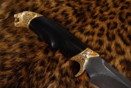 jag2