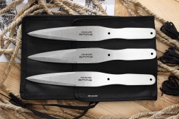 2660_image_1486133856_spire_f01