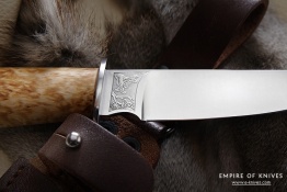 Teterev breza