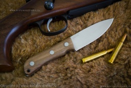Kizlyar_manul_2