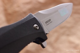 3500_image_1515142314_raptor_b_04