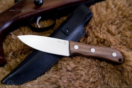 Kizlyar_manul_3