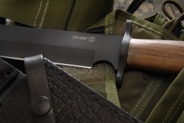 Kizlyar_DV2_U8_2