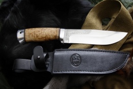 Puma breza
