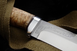 Puma breza