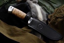 Puma breza