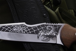 Kizlyar_ScorpionV_3