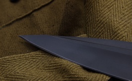 Kizlyar_fenix_combat_U8-2
