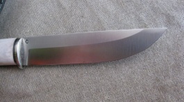 Ochota2_5