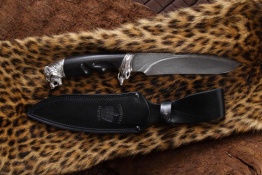 tigr