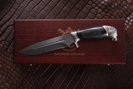 medved 5