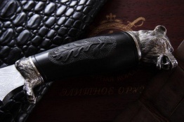 medved 2