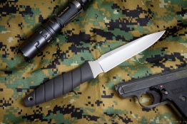 Kizlyar_vitaz_poly_2
