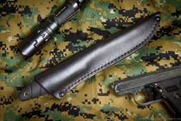 Kizlyar_vitaz_poly_3