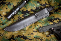 Kizlyar_vitaz_poly_4